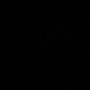 Meet your Posher, Jess